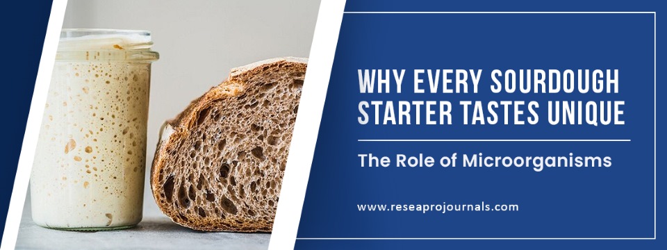 Why Every Sourdough Starter Tastes Unique: The Role of Microorganisms