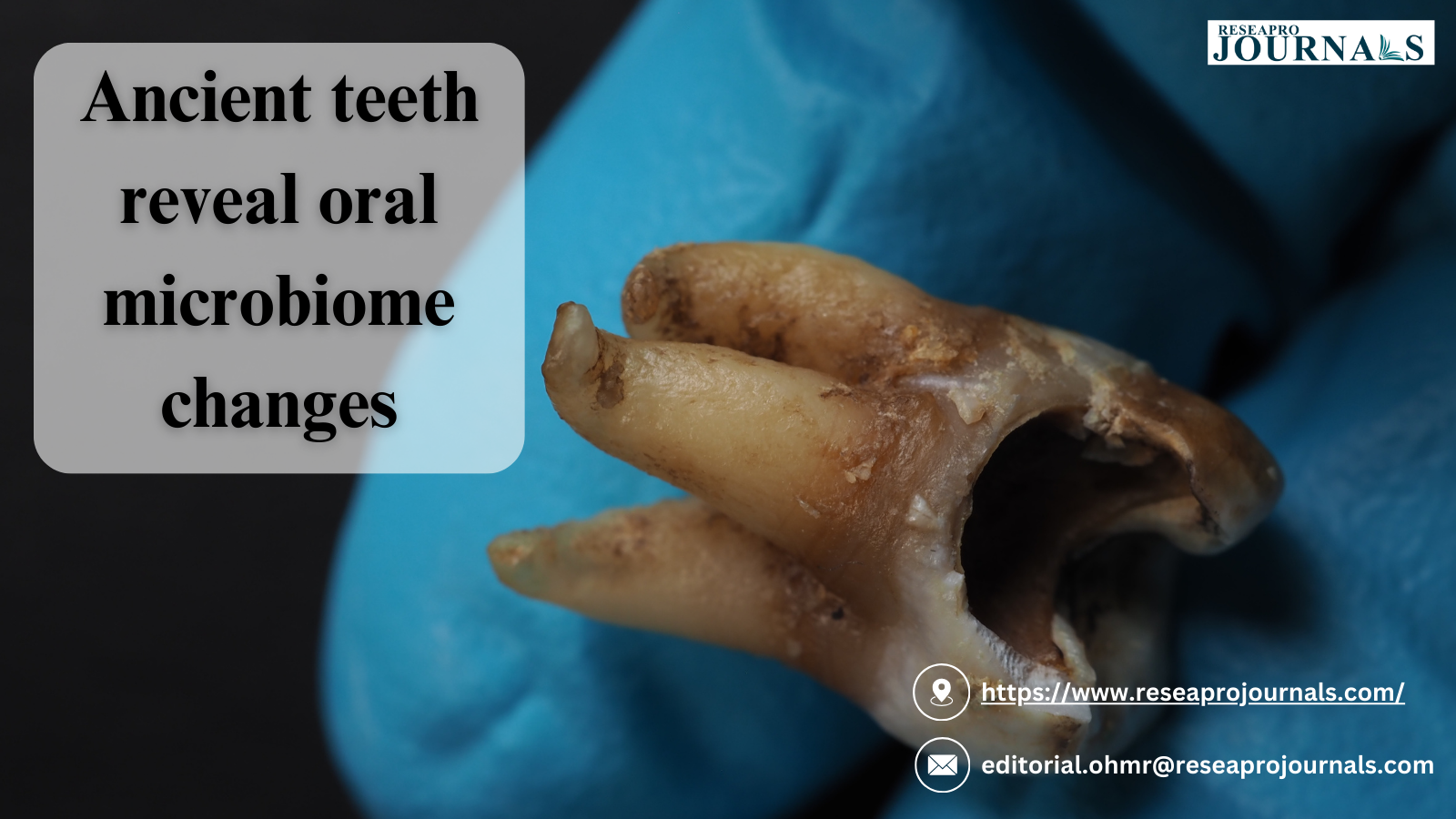 Ancient teeth reveal oral microbiome changes