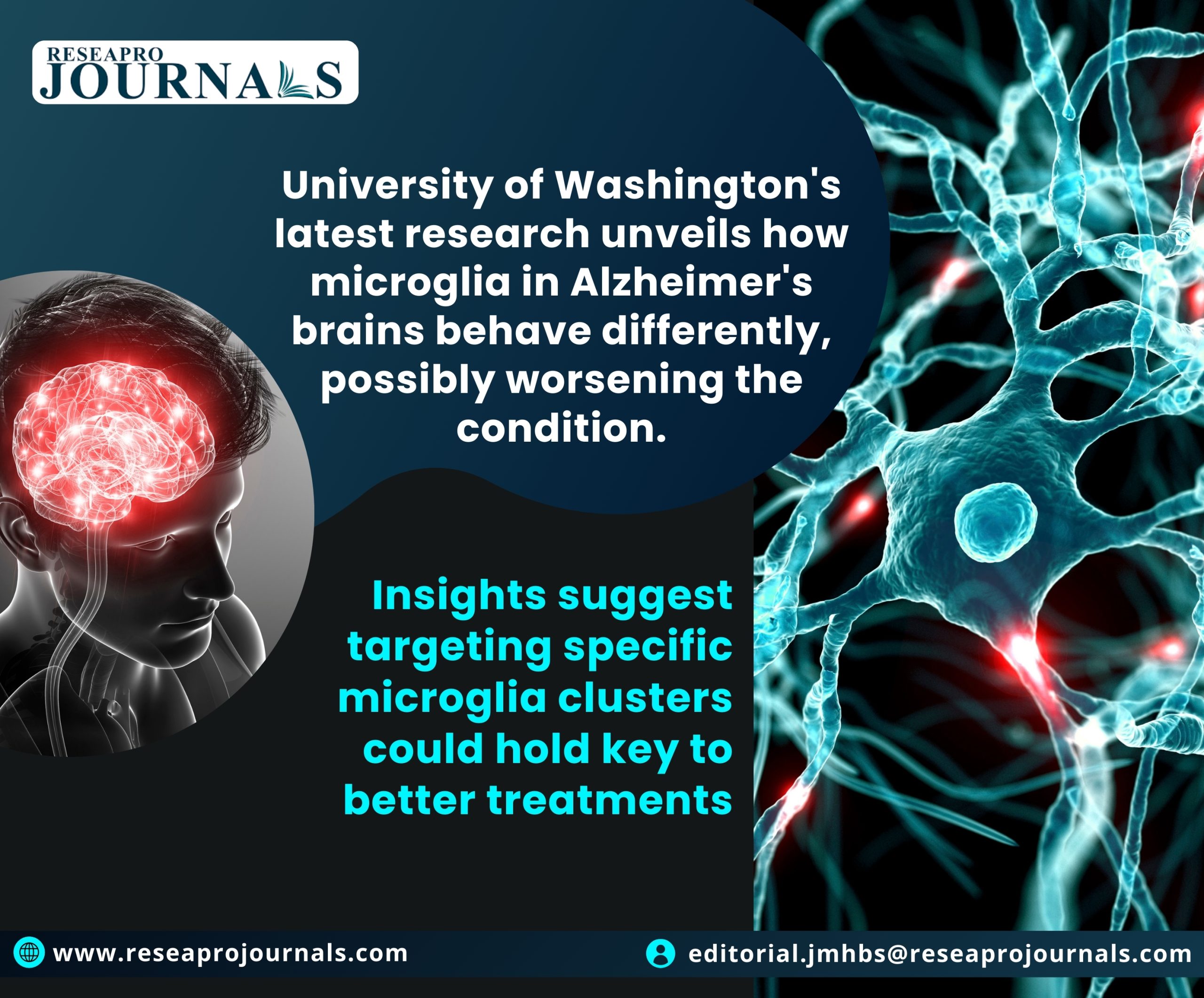 Unlocking Alzheimer’s: Insights into Microglia Behavior Offer New Treatment Avenues